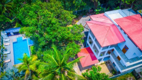 Blue Rice Villa Pvt Limited and Hotel